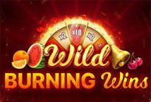 Wild Burning Wins slot